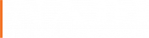 Nadi Investments Logo